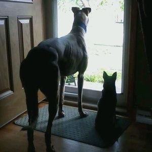 Meet your Posher, Andy